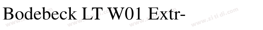 Bodebeck LT W01 Extr字体转换